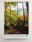 Preview: Rollo Verschlungene Wege, Rollo, Motivrollo, Rollo mit Druck, Fotorollo, bedrucktes Rollo, Fensterrollo,verdunkelndes Rollo, Sonnenschutz Rollo